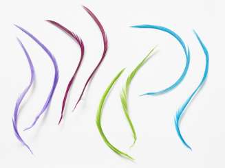 3190054 Gänsekiel-Federn 4gr. lavendel 