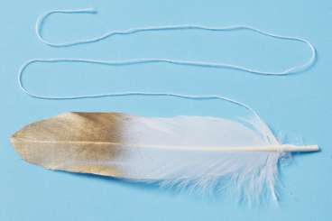 3190070 Federn 17cm 4St  goldfarbe 