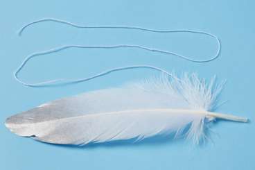 3190071 Federn 17cm 4St  silberfarbe 