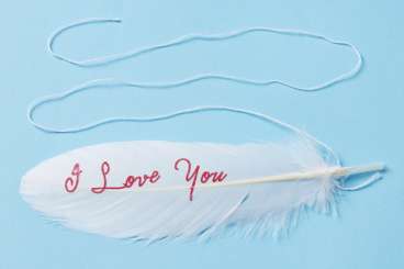 3190073 Federn 17cm 4St I Love you rot 