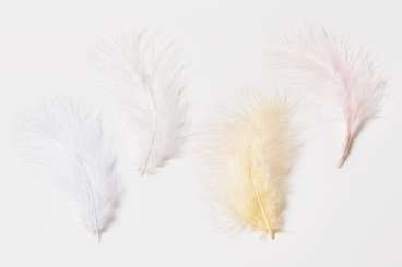 3190080 Truthahn-Federn 15cm, weiss, 5St 
