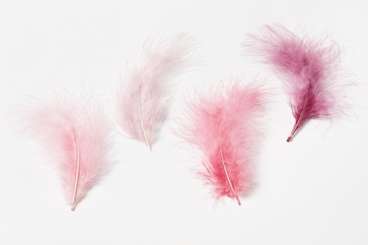 3190086 Truthahn-Federn 15cm, flamingo, 5St 