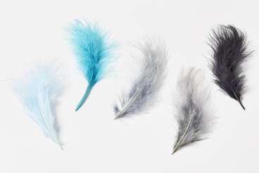 3190092 Truthahn-Federn 15cm, schwarz, 5St 