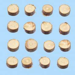 3270050 Holzscheiben 10mm     à 20 St. K 