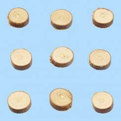 3270051 Holzscheiben 15mm     à 15 St. * 