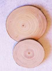 3271150 Holz-Scheiben 6cm, 2St 