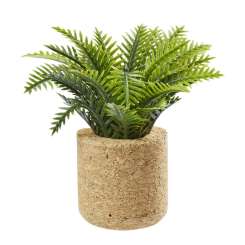 3481281 Palm-Pflanze ca. 6,5 cm 