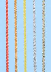 3822717 Miniborte  3mm/25m orange 