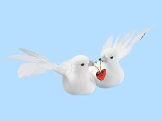 3860862 Taubenpaar mit Herz 8cm 