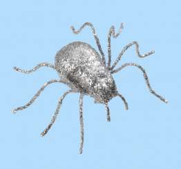 3860945 Spinne 6cm silber 