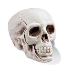 3863126 Totenkopf ca. 5 cm, Btl. a 2 St. 