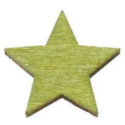 3863367 Holzstreuteil Stern, grün, 2cm, 12St 