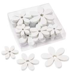 3863533 Holz-Blume in Klarsichtbox, 3- 5,5cm, 18St, weiss 