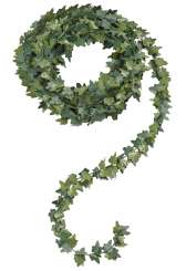 3865205 Efeugirlande  5 m, grün 