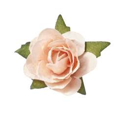 3865276 Streu-Rosen 20mm, aprikot 20ST 