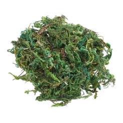 3865355 Moos, grün, 20 gr. 