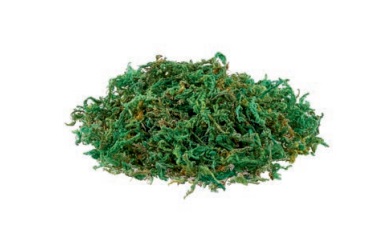 3865359 Deko-Moos  9 gr. grün 