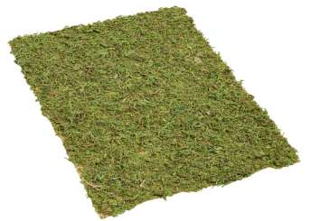 3865366 Matte Moos-optik, 20x30 cm 