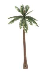 3865437 Mini-Palme,  6cm, 3St 