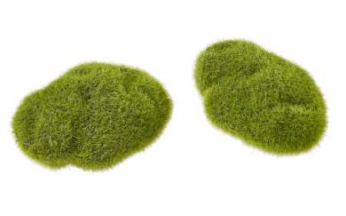 3865443 Moos-Steine,  6cm, 2St 