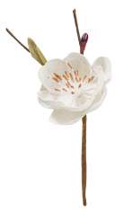 3865530 Leinen-Blüten 45mm, creme, 2St. 