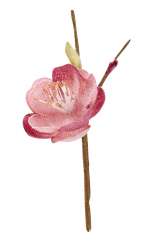 3865531 Leinen-Blüten 45mm, altrosa, 2St. 