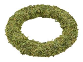 3865565 Mini Moos-Kranz  10cm 