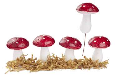 3865584 Fliegenpilz mit Moos 4,5cm, 4St 