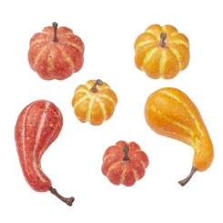 3865590 Kürbisse 2,5 - 5cm, 12St, sortiert 