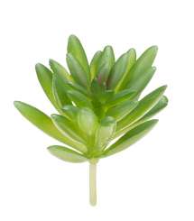 3865608 Mini-Garten Steingewächs III, 8cm, grün 