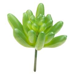 3865610 Mini-Garten Steingewächs V, 8cm, grün 