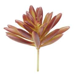 3865611 Mini-Garten Steingewächs VI, 8cm, braun 