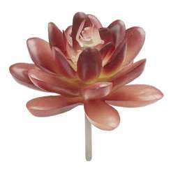 3865612 Mini-Garten Steingewächs VII, 8cm, braun 