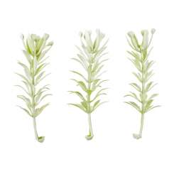 3865614 Mini-Zweig,  5cm, grau-grün, 6St. 