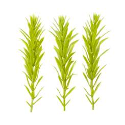 3865622 Mini-Zweig,  8cm, hellgrün, 6St. 