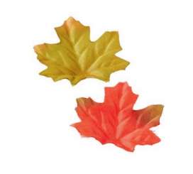 3865673 Blätter sort. I  5cm, 20St 