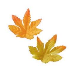 3865674 Blätter sort. II  5cm, 20St 