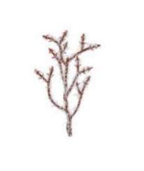 3865676 Zweige gefrostet,  9cm, 6St 