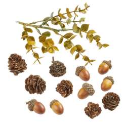 3865689 Herbst-Mix ca. 2,5 - 10 cm 