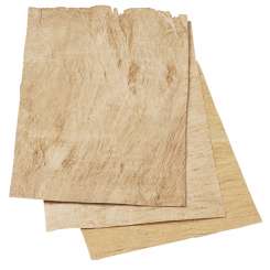 3866075 Maulbeerbaum-Rindenstücke A5- mit 50g 