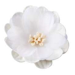 3866111 FLORELLA-Blüte I 45mm 2St weiss 