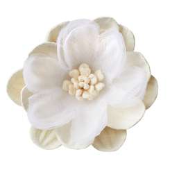 3866112 FLORELLA-Blüte I 45mm 2St creme 