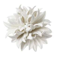 3866121 FLORELLA-Blüte II 35mm 2St weiss 