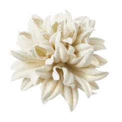 3866122 FLORELLA-Blüte II 35mm 2St creme 