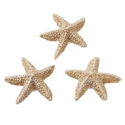 3870664 Seestern  2cm, 4St. natur 