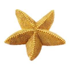 3870701 Seestern  8cm 