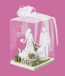 3906401 Box für Geld- und Gutscheingeschenke 