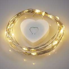 3910768 LED-Leuchtdraht m. Herzbox, 20 