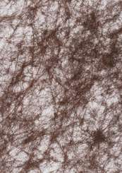 3980022 Vlies Rolle 25cm/15m dunkelbraun 