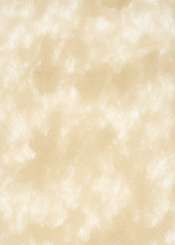 3980029 Vlies caramel Ro.25cm/15m 